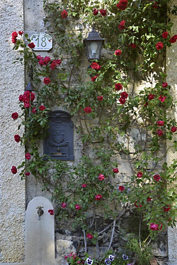La Casa Dei Nonni Bed & Breakfast