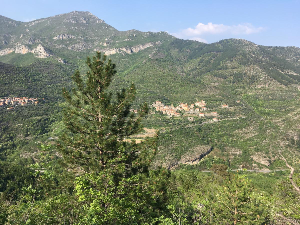Bed & Breakfast La Casa Dei Nonni Colletta